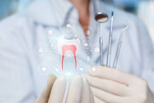Best Traditional Braces  in El Cenizo, TX